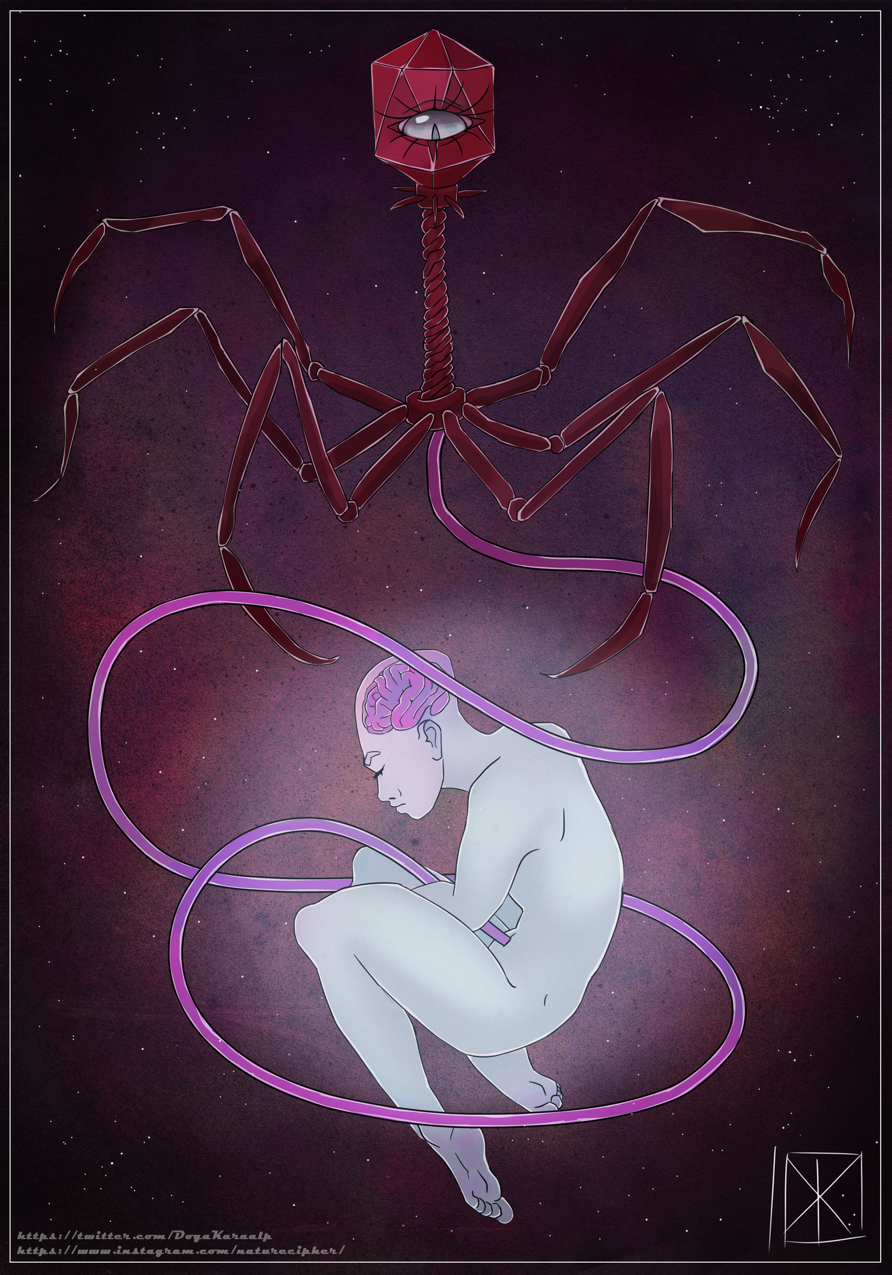 Connection
