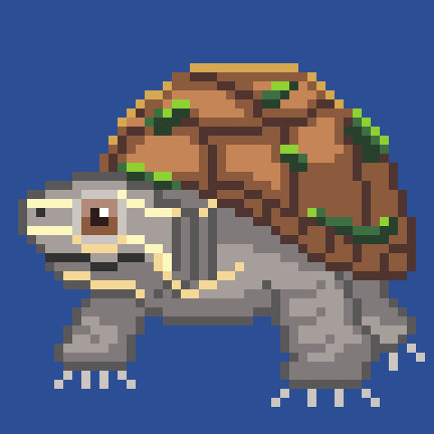 Stinkpot turtle by kaminalihayako on DeviantArt