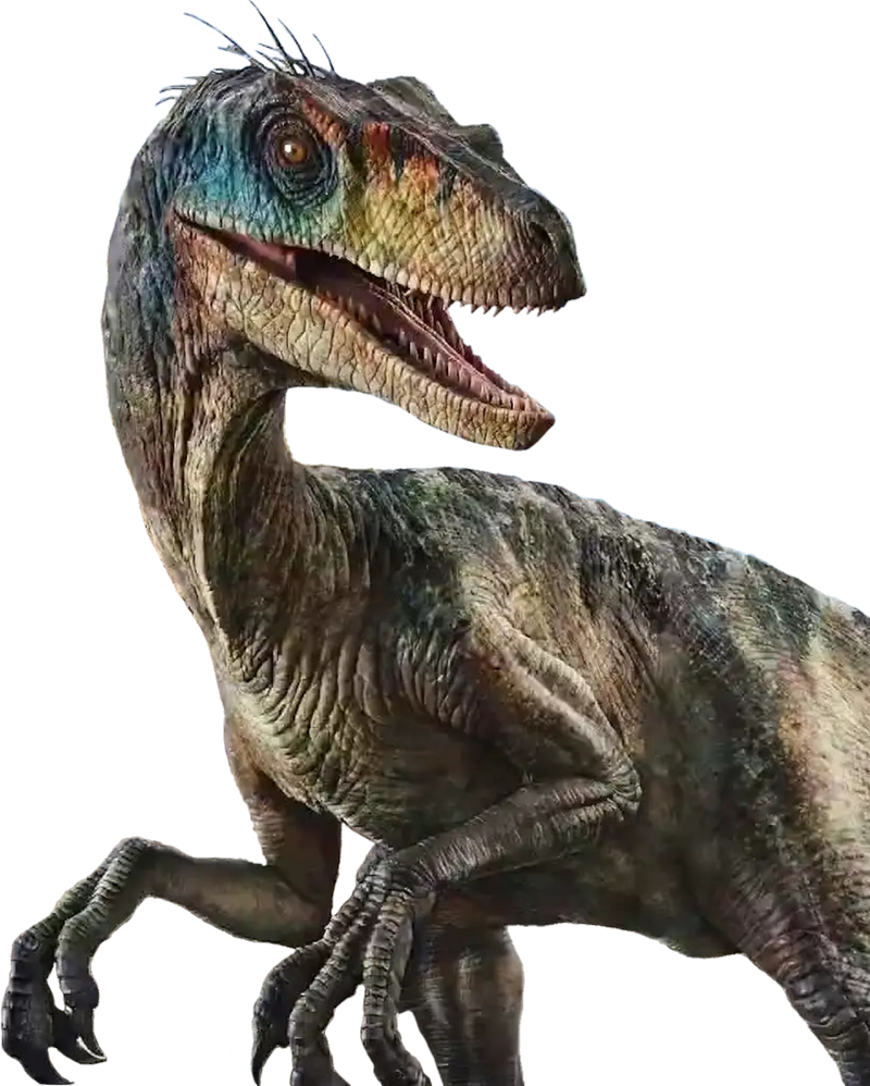 Jurassic World Rebirth Velociraptor Render by ZebraSiats on DeviantArt