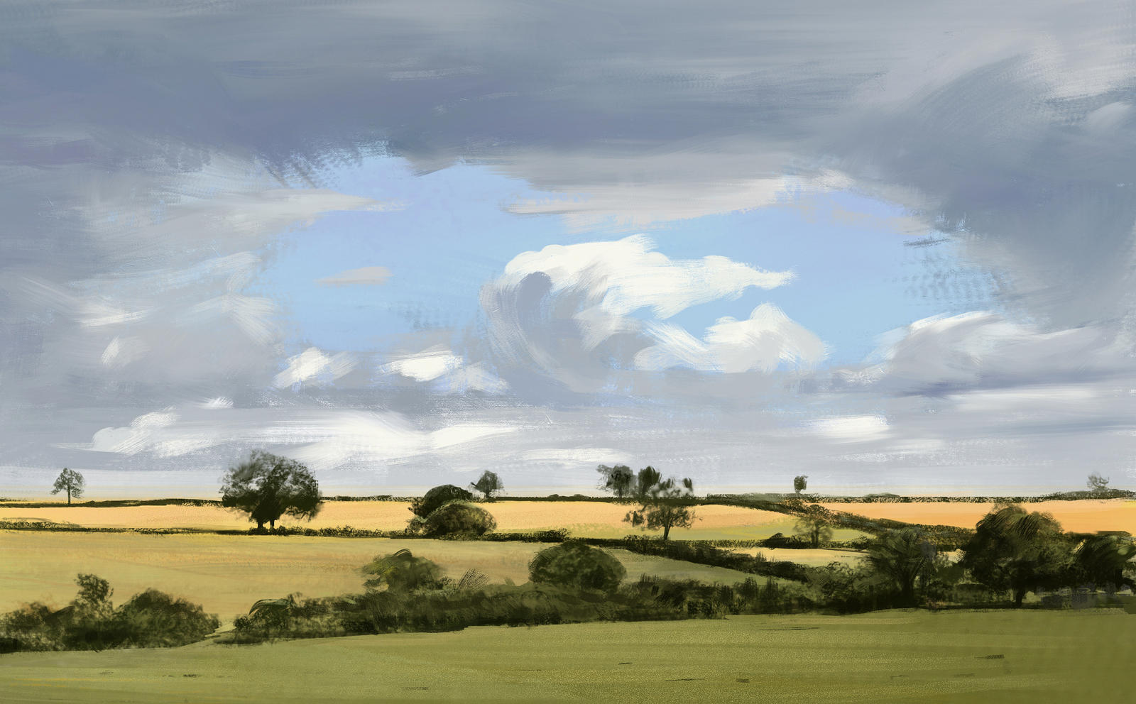 Landscape study