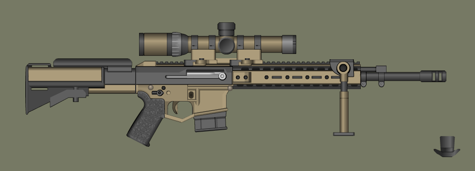 Custom AR-15 DMR