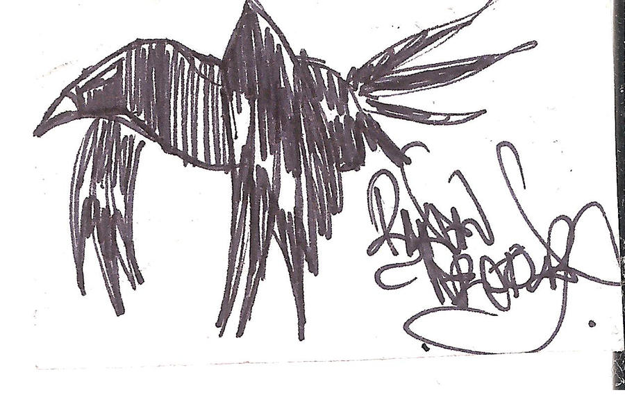 raven Signature by sombra8911 on DeviantArt