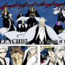 Bleach 315