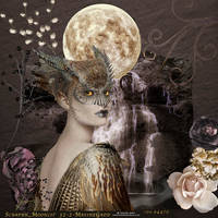 Moonlight Fairy2