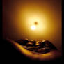 Follow The Light