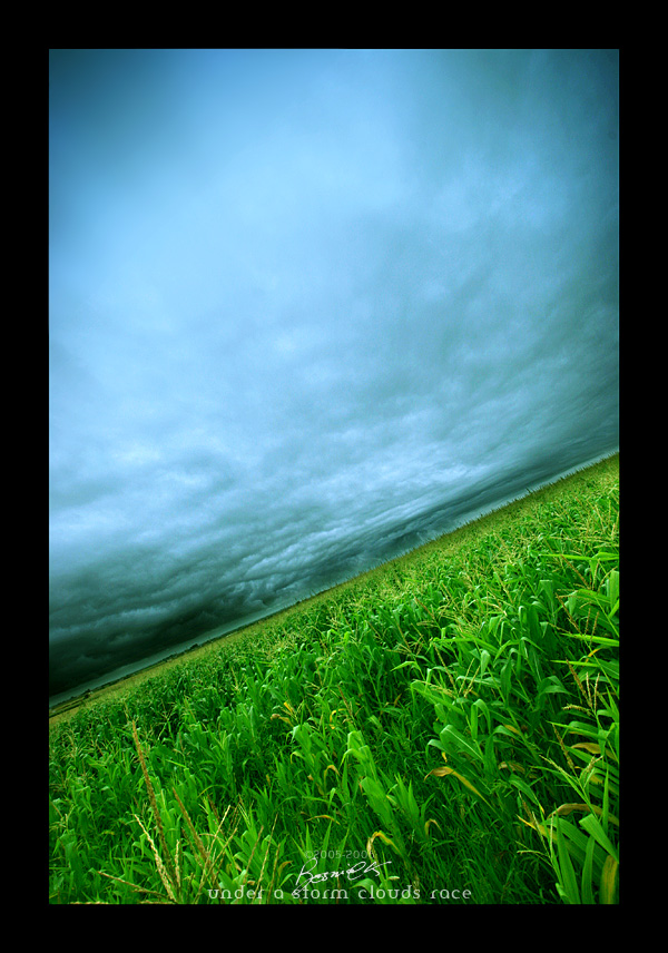 under a storm clouds race