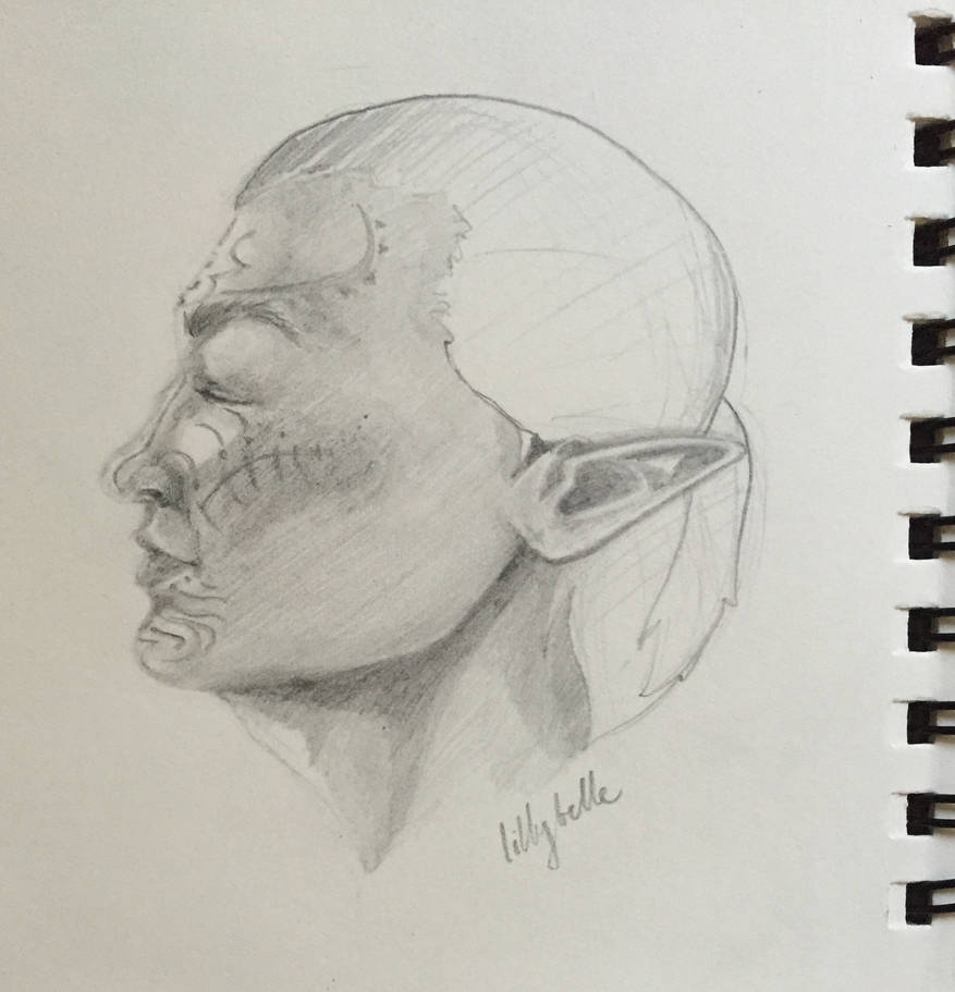 Elf Side Profile by TwoSillyBuns on DeviantArt