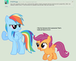 Question 15: Rainbow Dash's Awesomeness