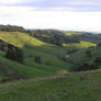 Rolling Hills 1