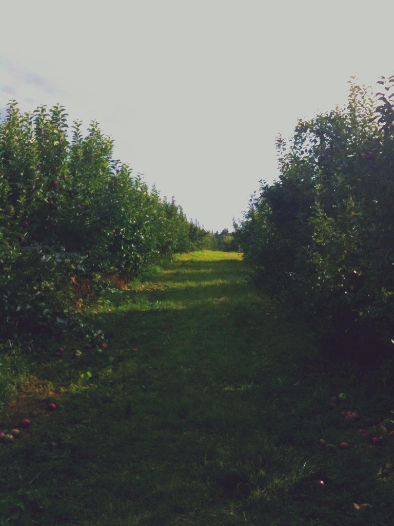 Calm Path by LeisureLarry990 on DeviantArt