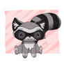 Raccoon Mapache