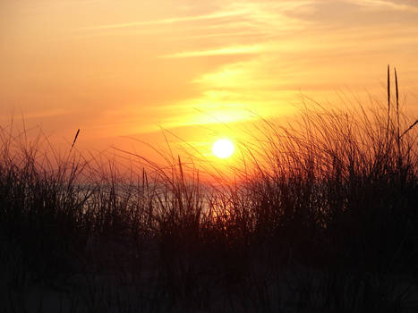 Sunset and beachgrass