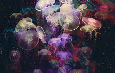 Jellyfishes