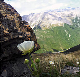 View from Avalanche Peak