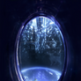 Sight