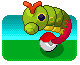 Caterpie