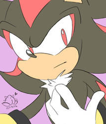 The Black Hedgehog