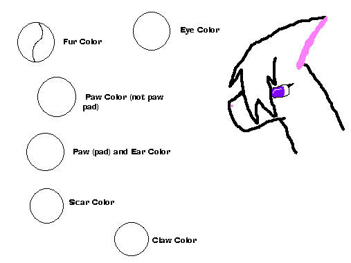 Female canine ref sheet base by puppyland25 on DeviantArt