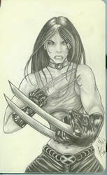 X-23