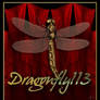 Dragonfly113