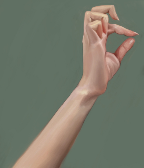 Hand Study