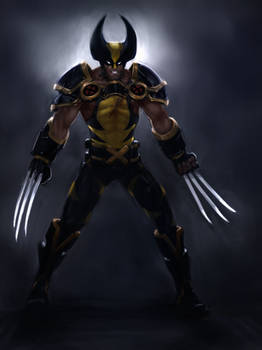 Wolverine Redesign