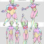 Simplified Anatomy Variations