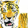 Tiger with Acrylics