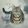 Cat.. Watercolor