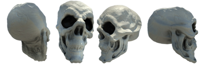 surprised skulls