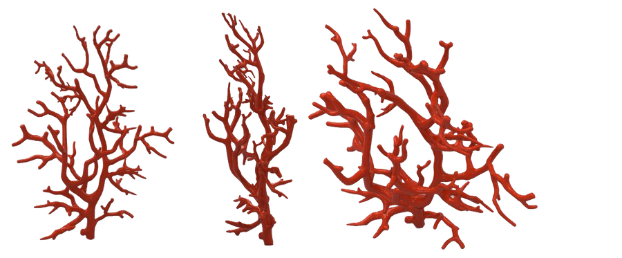 red coral