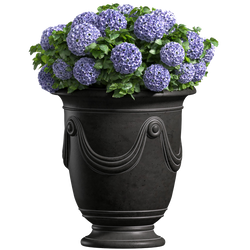 flower vessel plant stock