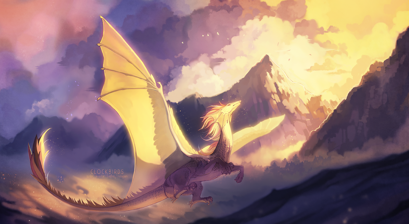 in a sea of clouds and dreams