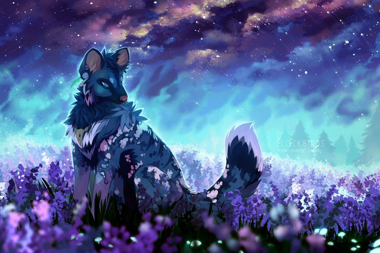 field of galaxies
