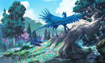 anew by clockbirds
