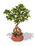 Pixel art Ficus Ginseng for Pixel Dailies