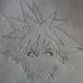 Freehand Sora Outline