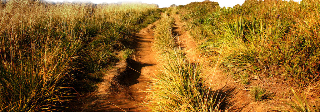 Way Rode rode way by wajdanali on DeviantArt