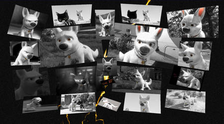 Bolt B and W Collage