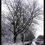 Winter On Regent Road