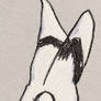 Critter