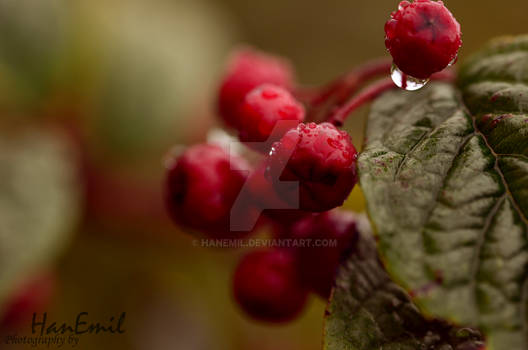 Green and a dash of red