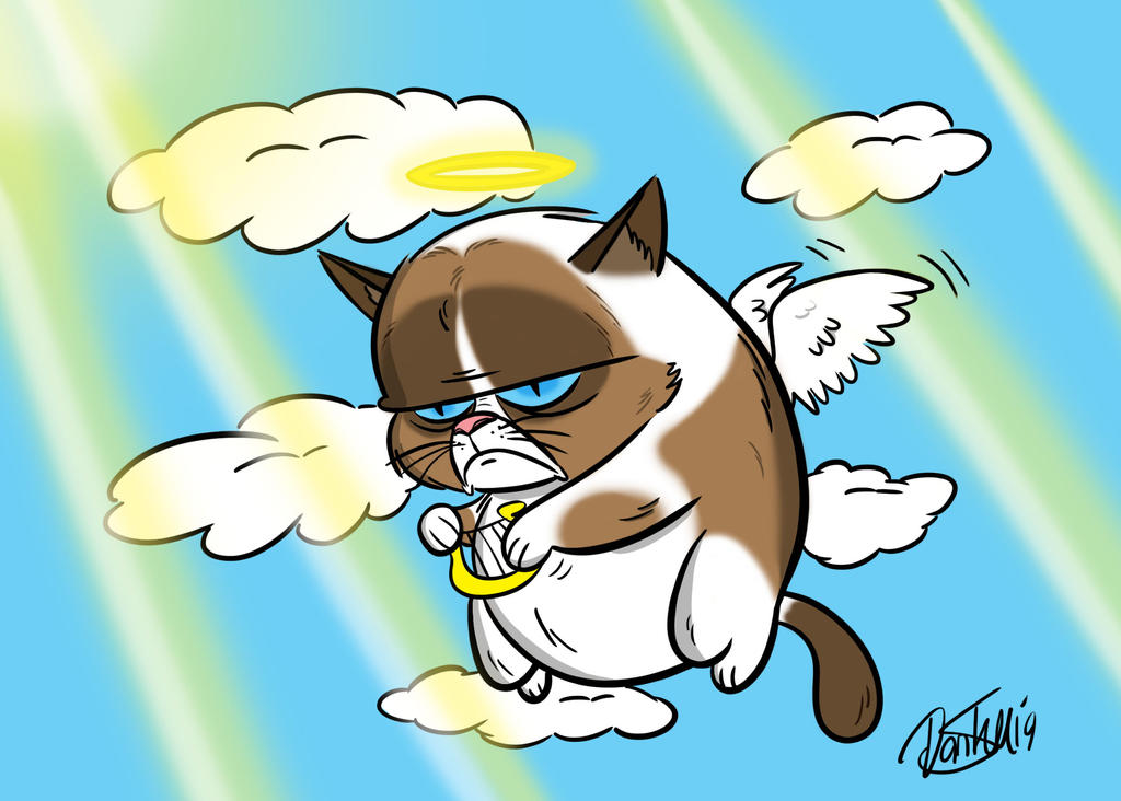 Grumpy Cat Rip Deviantart R.I.P Grumpy Cat by DantheDoodle on DeviantArt