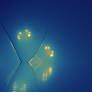 Night Bloom - (blue) - (Rework)