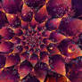 Zahra-tul-Jannah (fractal)