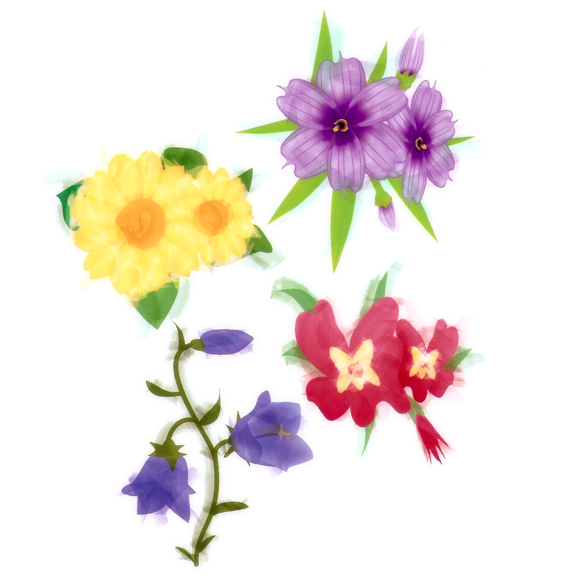 flowers - vector