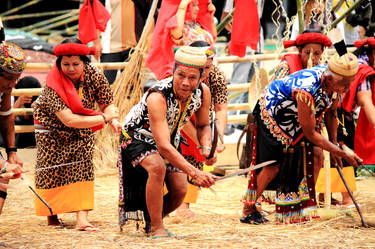 Cutting The Wild Grass (Dayak Tribe)