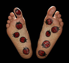 Feet - Ladybug