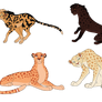Cheetahs for xMiss-Murder