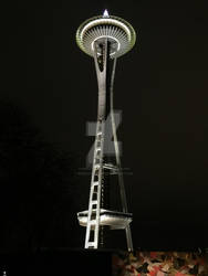 Space Needle At Night by PuzzlesTheCat